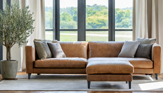 Leather sofa with pillows, olive tree, gray area rug, in front of living room window.