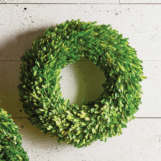 16" round preserved boxwood wreath on rustic shiplap wall.