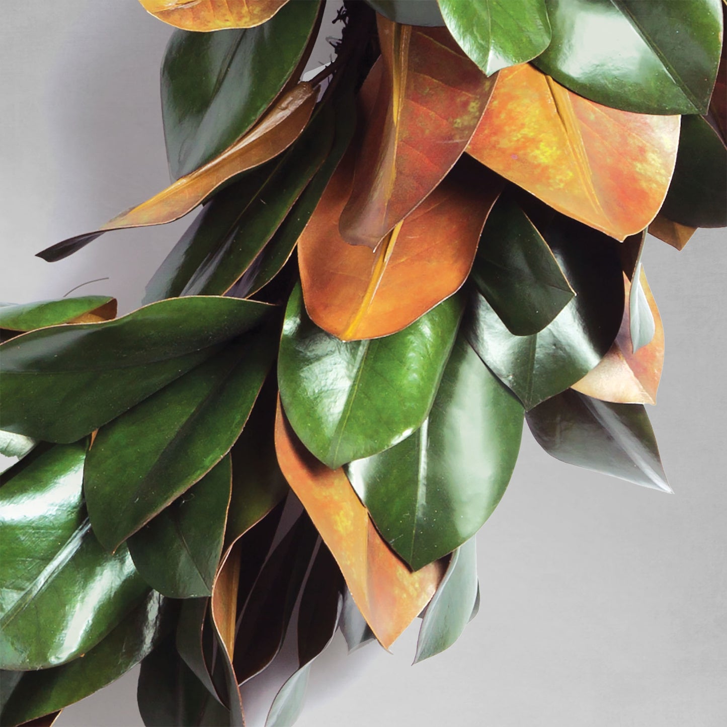 30" faux magnolia leaf wreath, closeup view of leaves, with gray background.