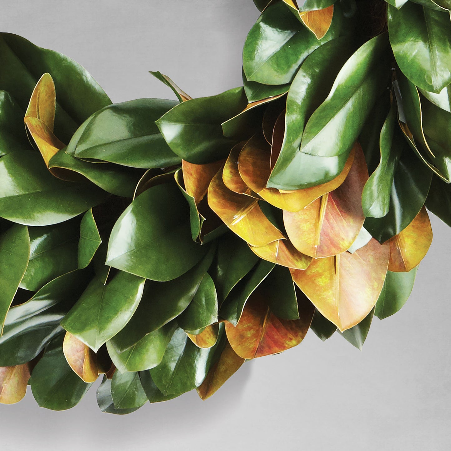 30" faux magnolia leaf wreath, closeup view, with gray background.