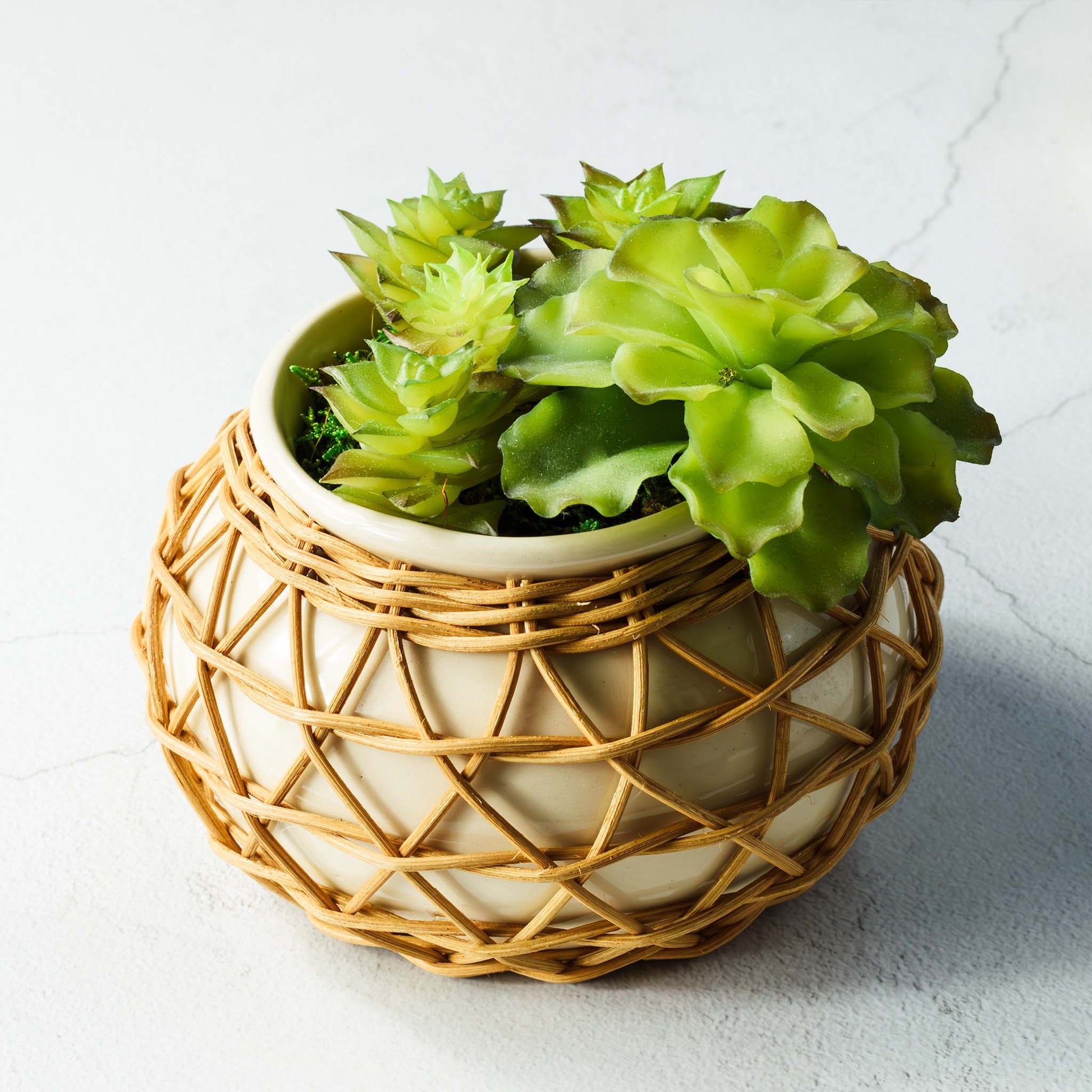 Natural rattan decorative ceramic planter filled with succulents on limestone surface.