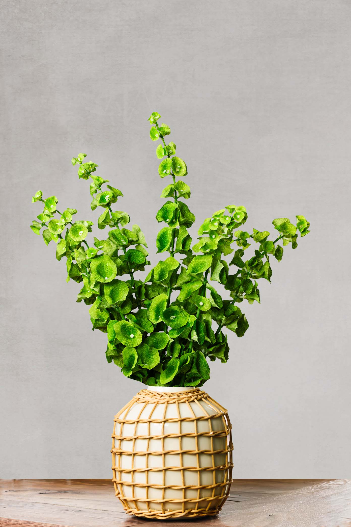 Artisanal natural rattan decorative ceramic vase filled with bells of ireland with gray background.
