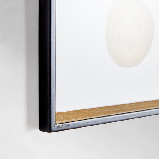 Assorted fruits gallery wall art set, closeup view of black and gold frame.