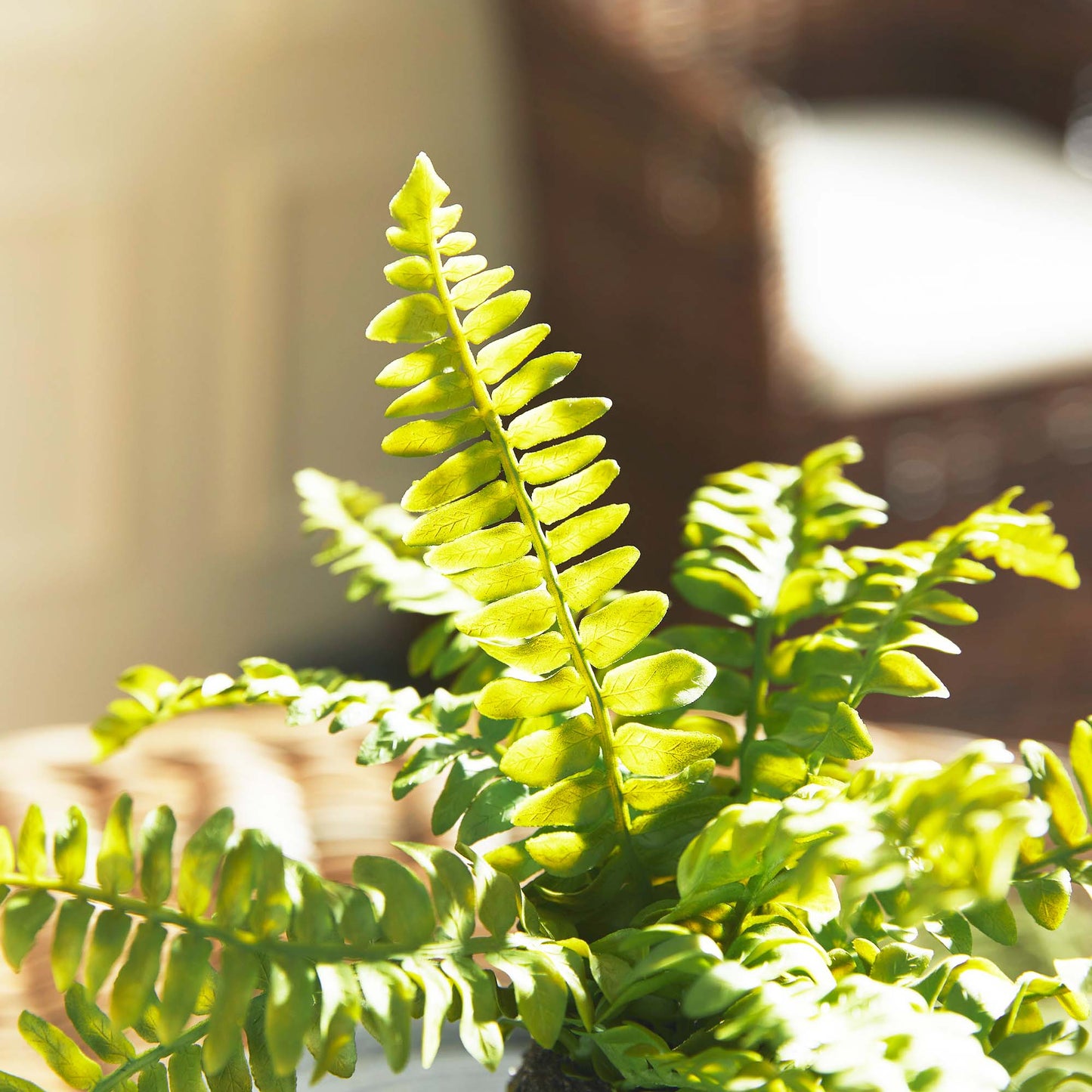 Boston fern faux floral drop-in, closeup view.