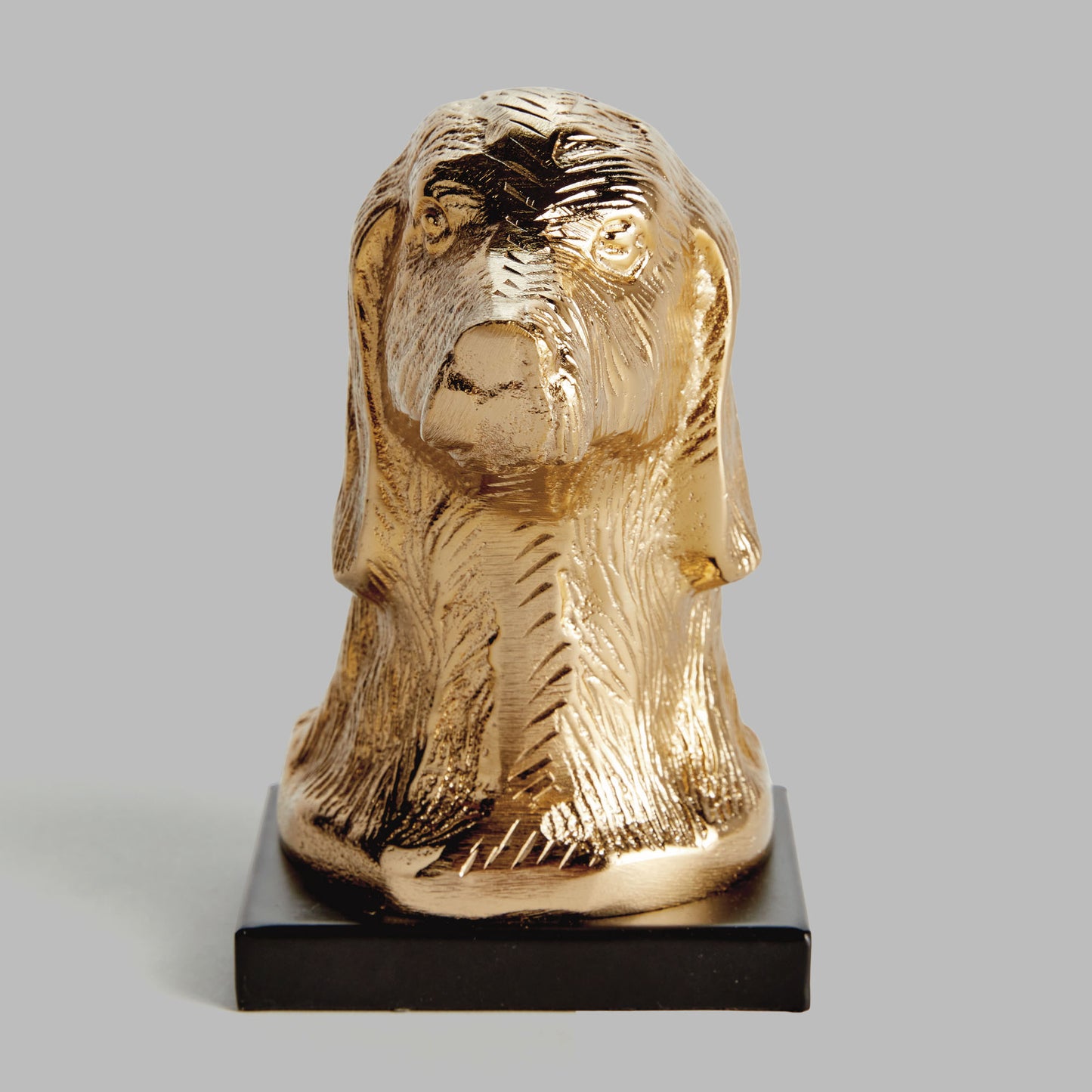 Champagne gold dog bust sculpture - stylish home accent (Image4).