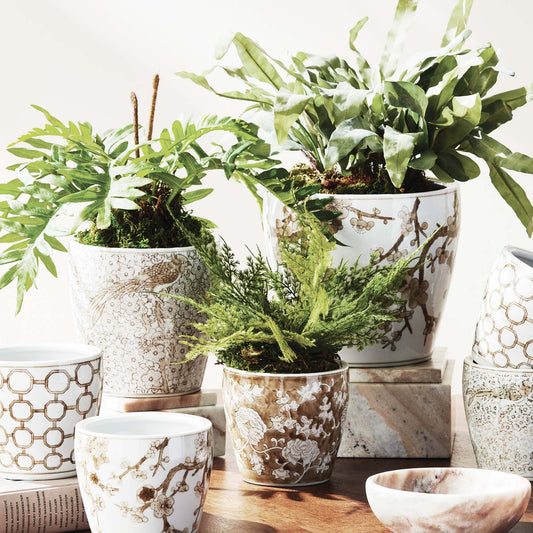 Chinoiserie taupe ceramic flower pots (set of 3) - stylish home accent (Image1).