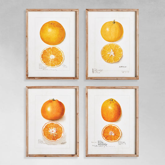Citrus gallery wall art set on gray wall.