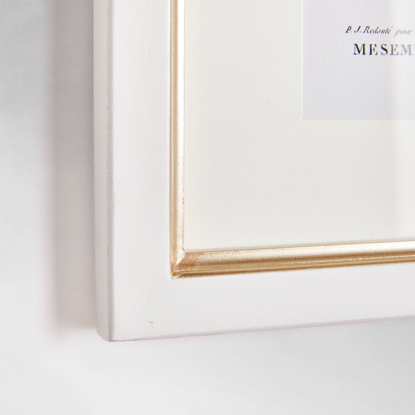 Classic botanicals gallery wall art set frame closeup view.