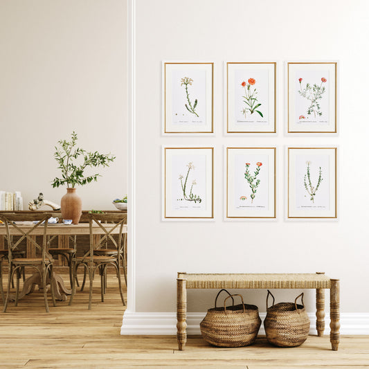 Classic botanicals gallery wall art set stylized in foyer with bench and baskets.