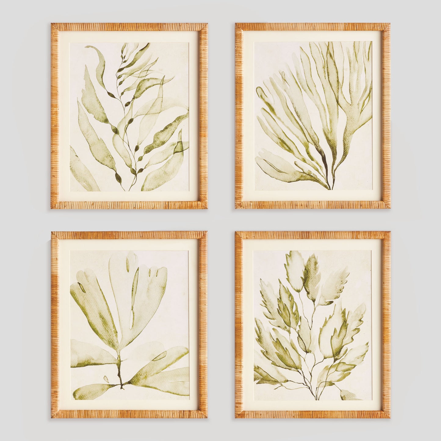 Coastal greenery prints (set of 4) - stylish home accent (Image1).