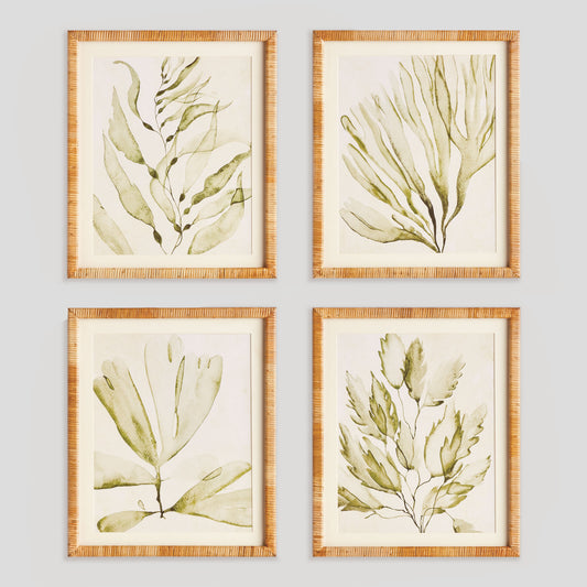 Coastal greenery prints (set of 4) - stylish home accent (Image1).