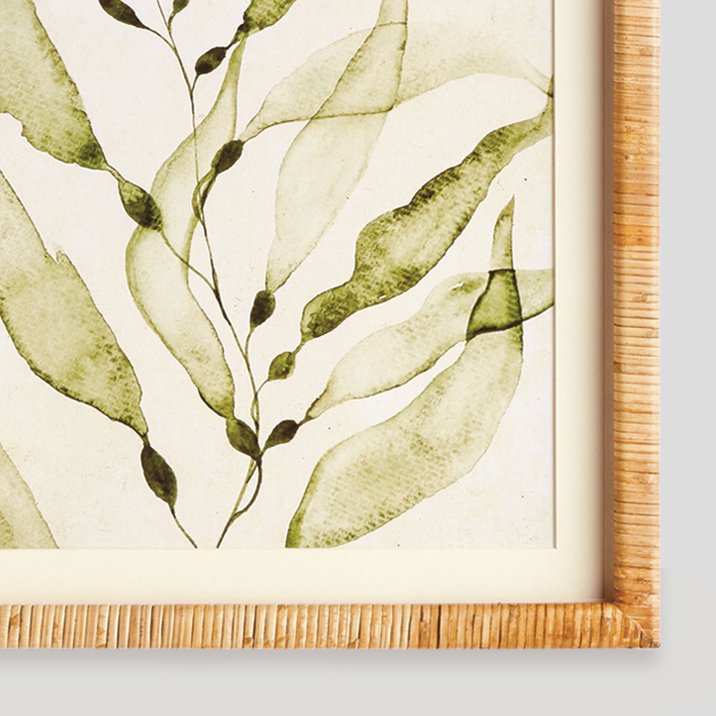 Coastal greenery prints (set of 4) - stylish home accent (Image3).