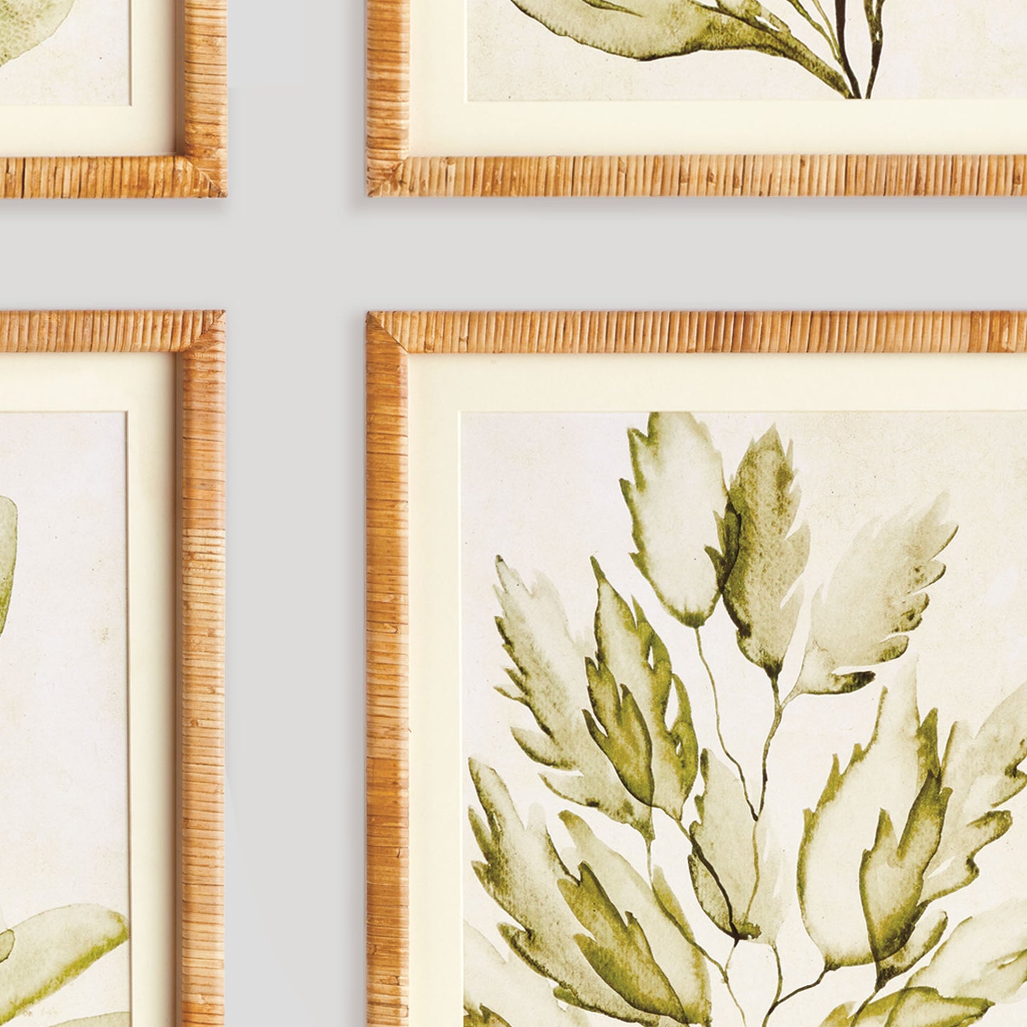 Coastal greenery prints (set of 4) - stylish home accent (Image4).