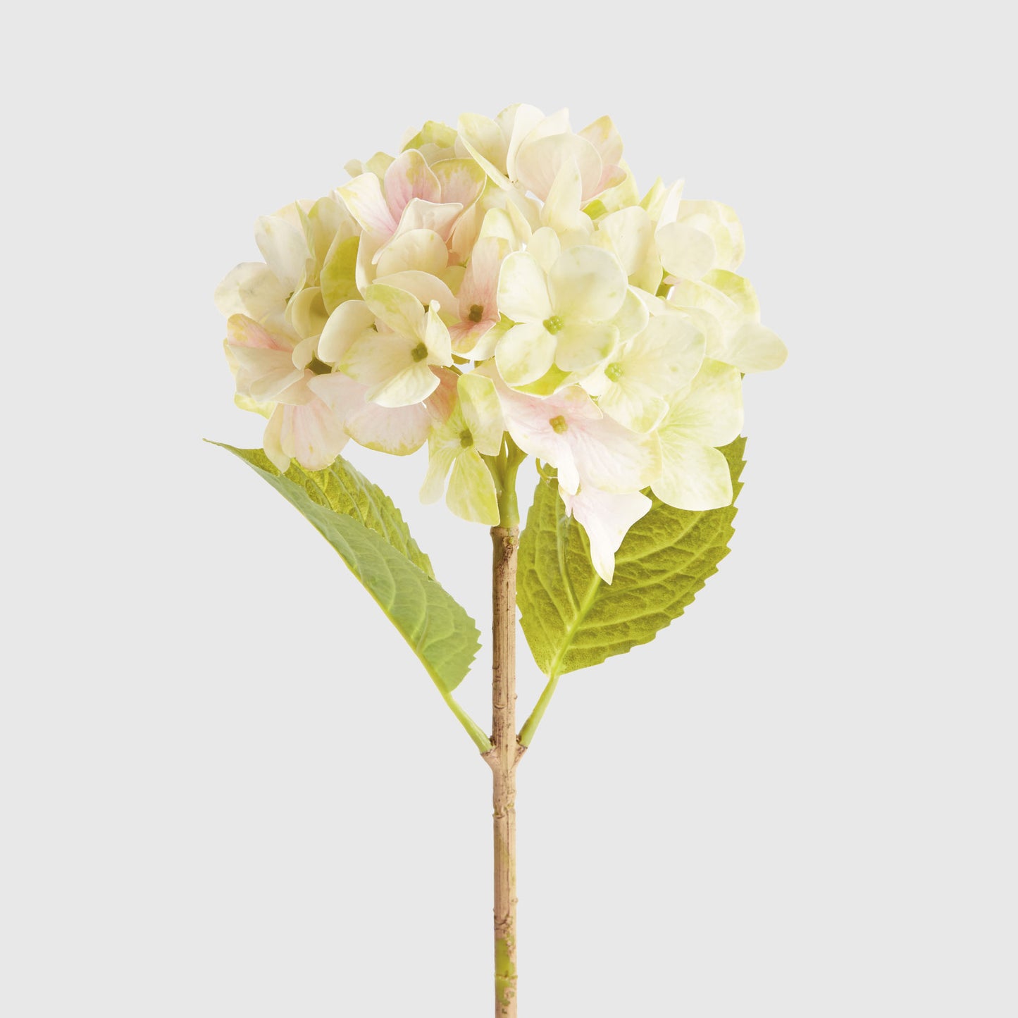 Faux light green hydrangea stems (set of 6) - stylish home accent (Image4).