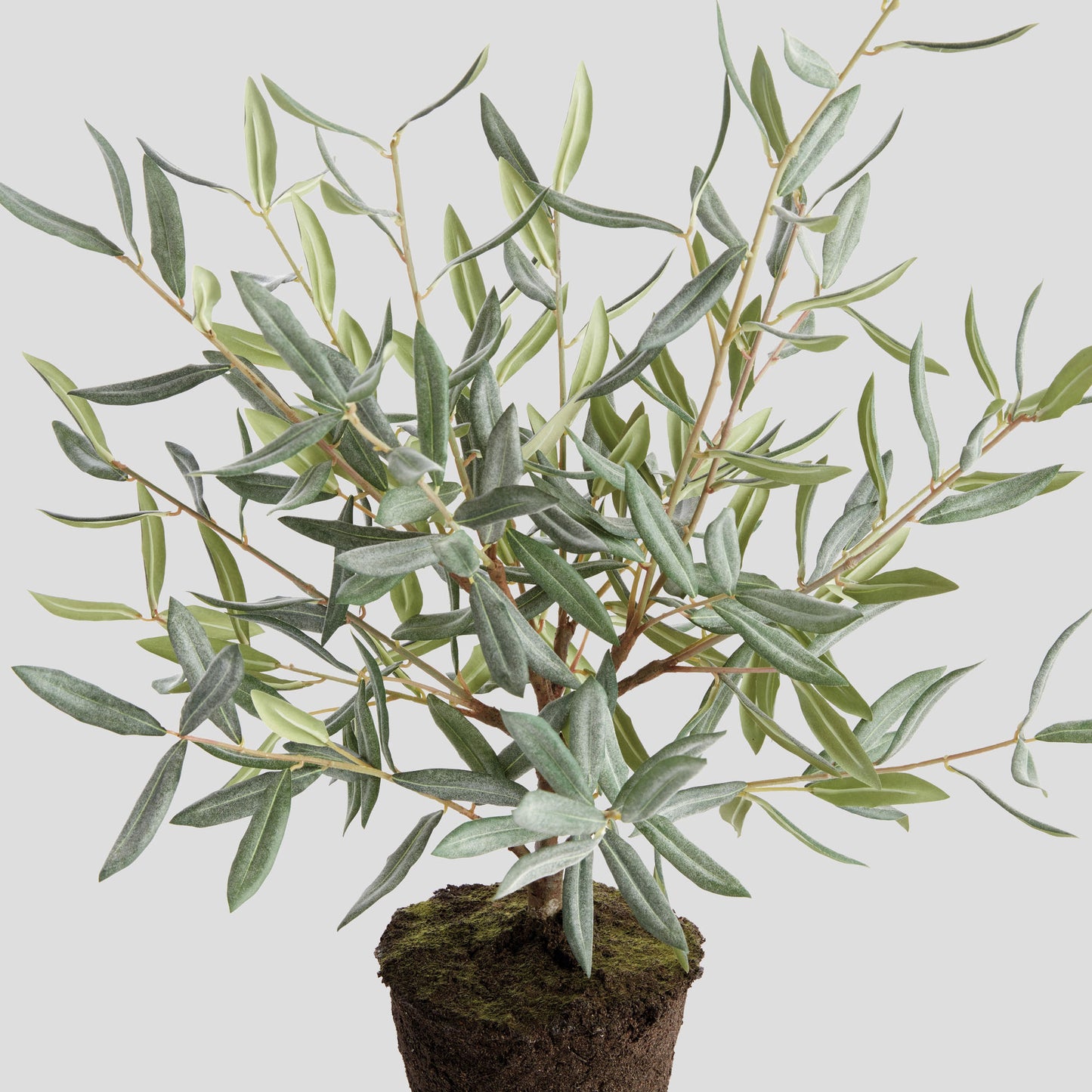 Faux olive tree drop-in - stylish home accent (Image4).