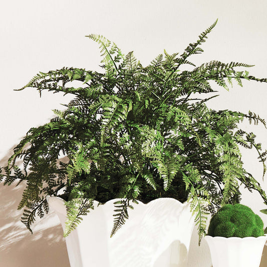 Faux soft fern drop-in 18.5 inch - stylish home accent (Image1).