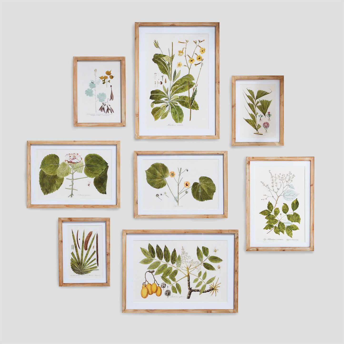 Gallery wall art set of green botanicals laid out vertically.