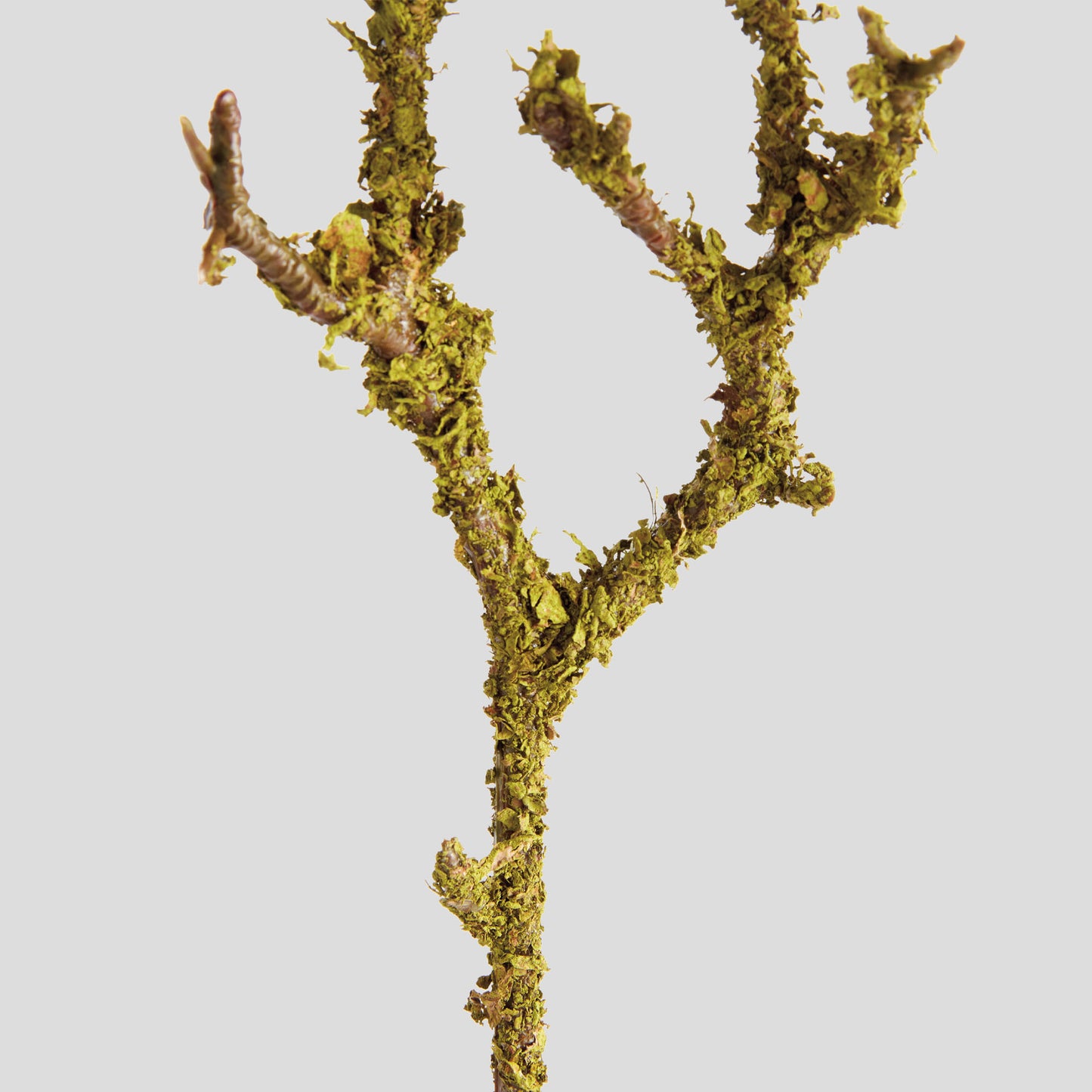 Green faux lichen branches (set of 6) - stylish home accent (Image3).