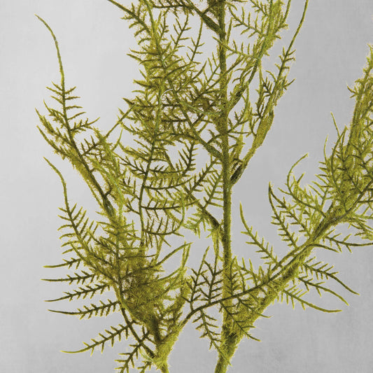 Green faux plumosa stems (set of 6) - stylish home accent (Image2).