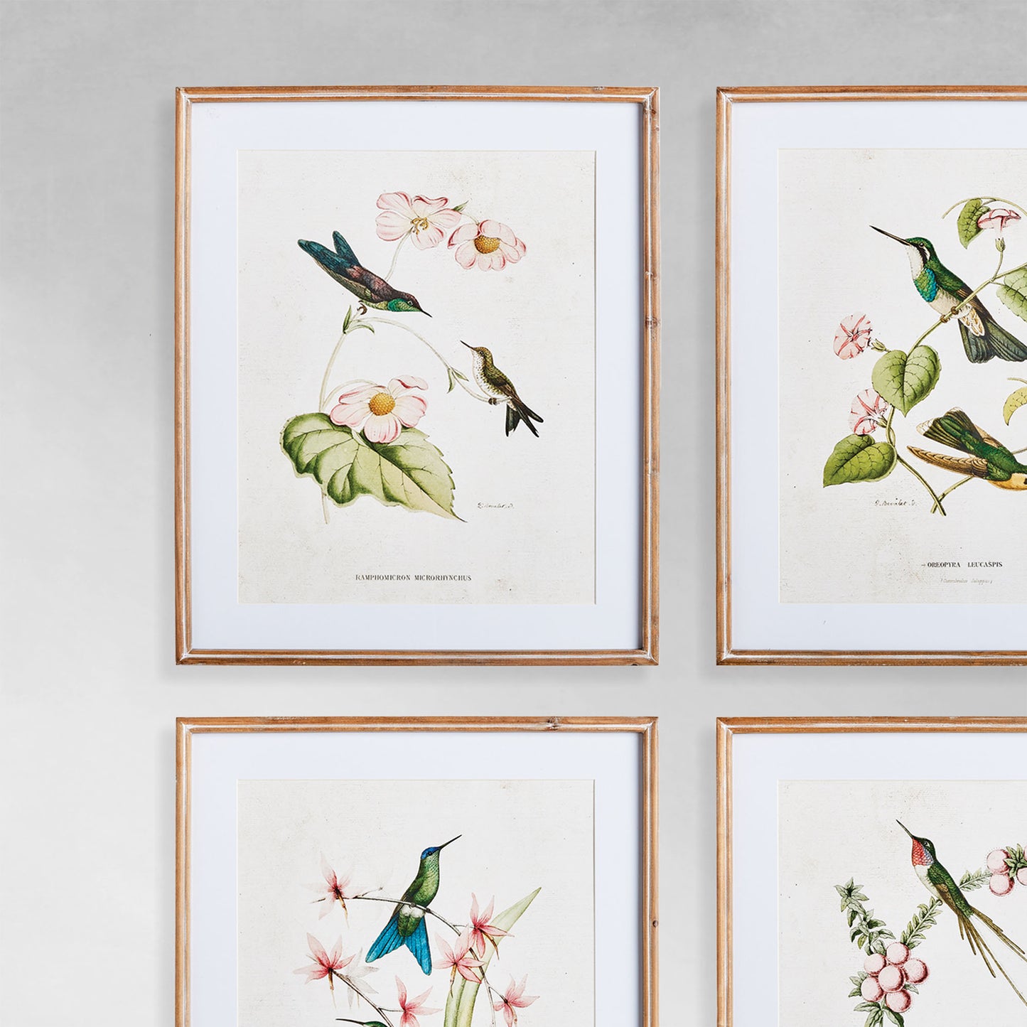 Hummingbird gallery wall art set, closeup view, on gray wall.