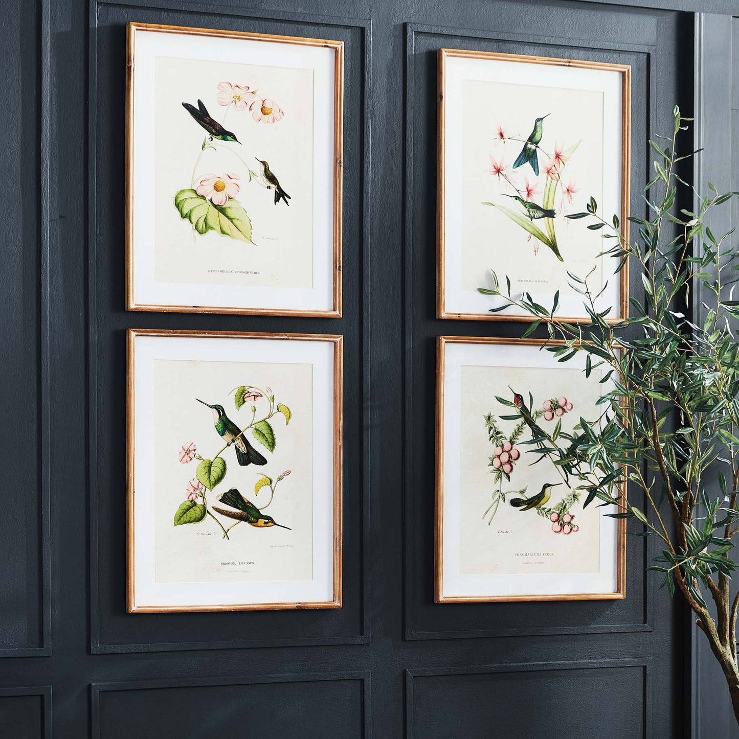 Hummingbird gallery wall art set on dark gray paneled wall.
