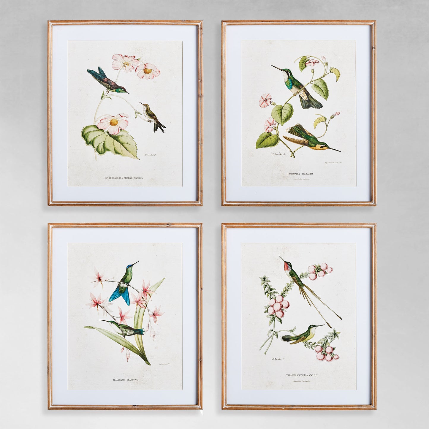Hummingbird gallery wall art set with gray background.