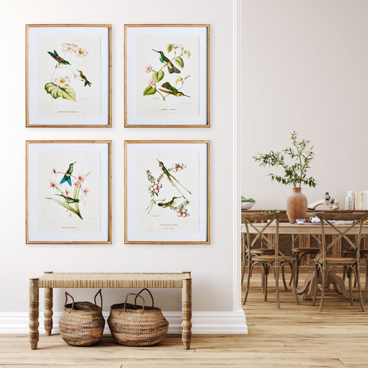 Hummingbird gallery wall art set, stylized in room with bench, baskets, and dining room.