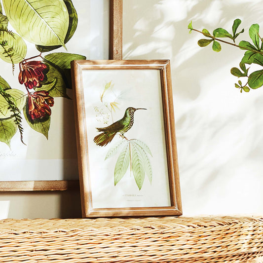 Hummingbird prints in wood frames (set of 8) - stylish home accent (Image1).