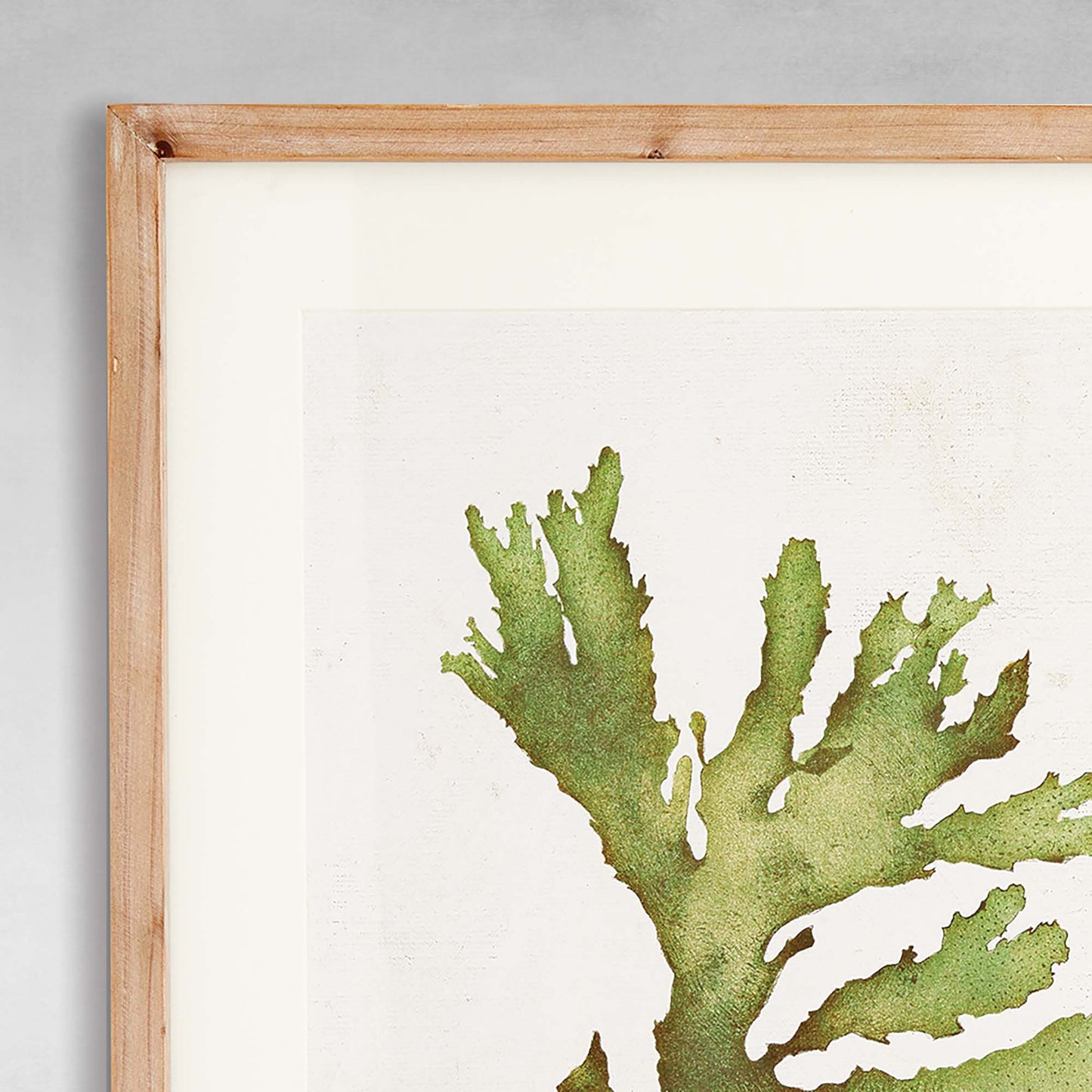 Kelp gallery wall art set, closeup of wood frame.