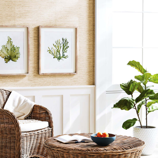 Kelp gallery wall art set stylized in living room, rattan chair, potted floor plant.