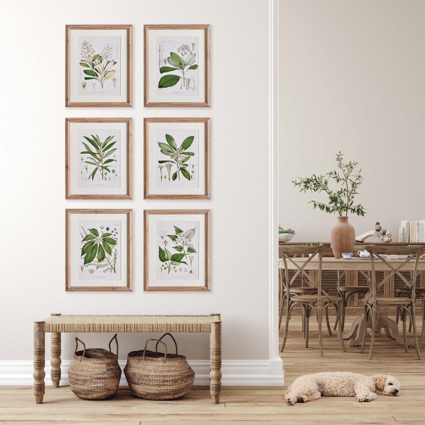 Leaf and flower gallery wall art set stylized in foyer with bench, woven baskets, dog lying on floor, and dining room.