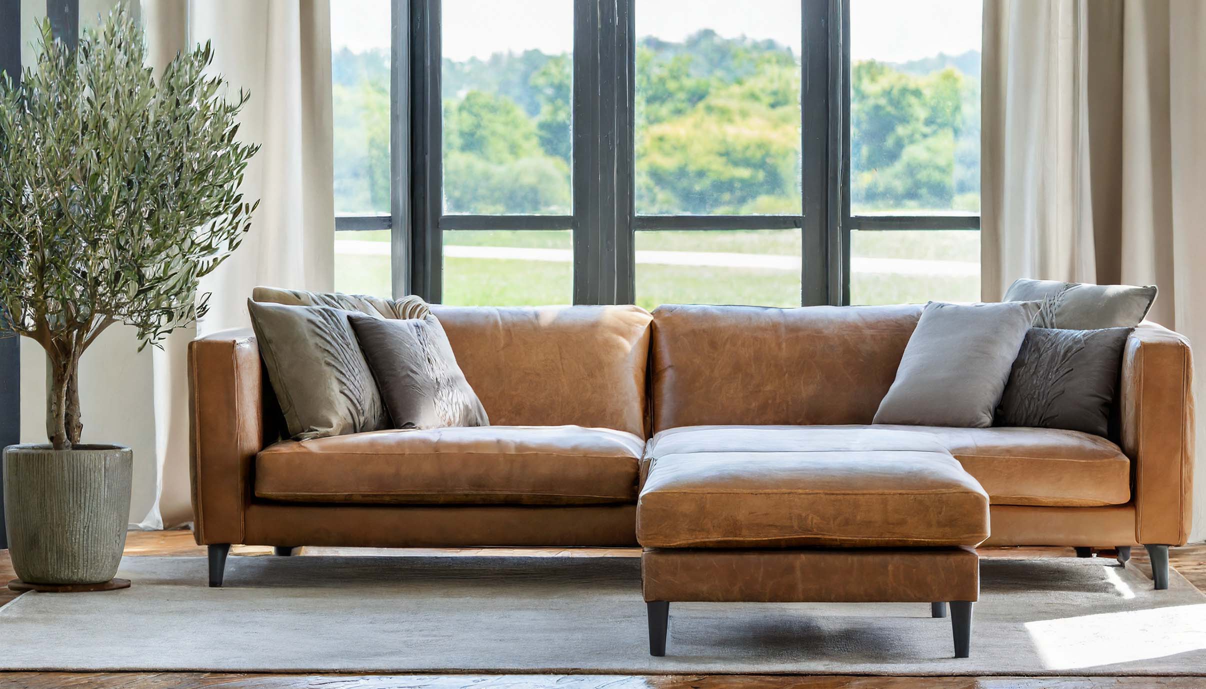 Leather sofa with pillows, olive tree, gray area rug, in front of living room window.