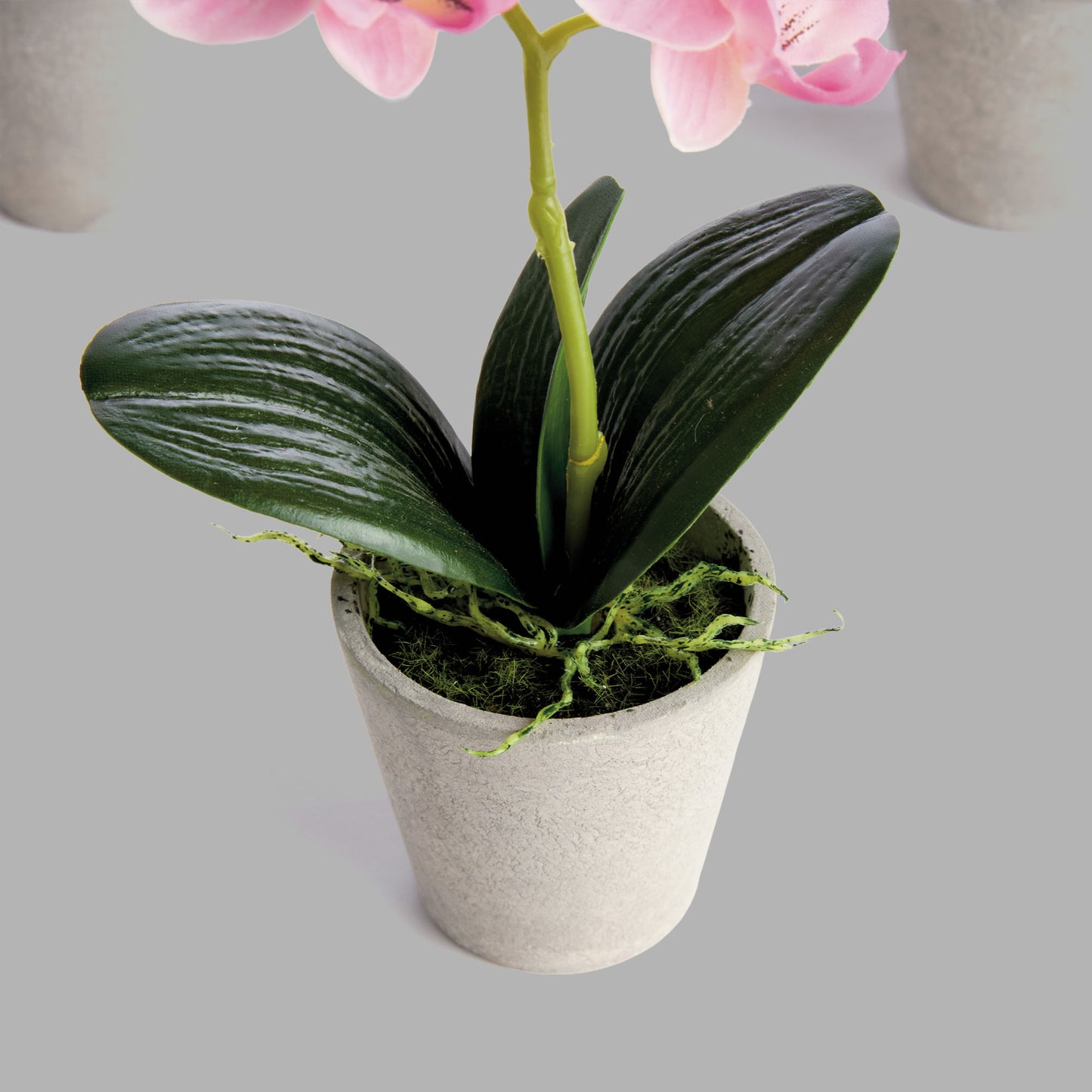 Mini light pink faux phalaenopsis orchid potted plants (set of 4) - stylish home accent (Image3).
