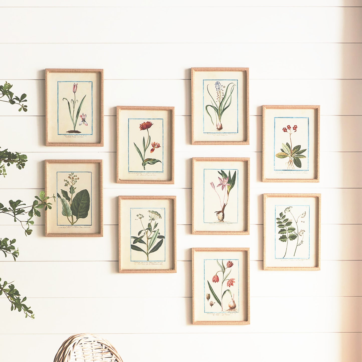 Multicolor botanical prints linen-wrapped frame (set of 9) - stylish home accent (Image4).