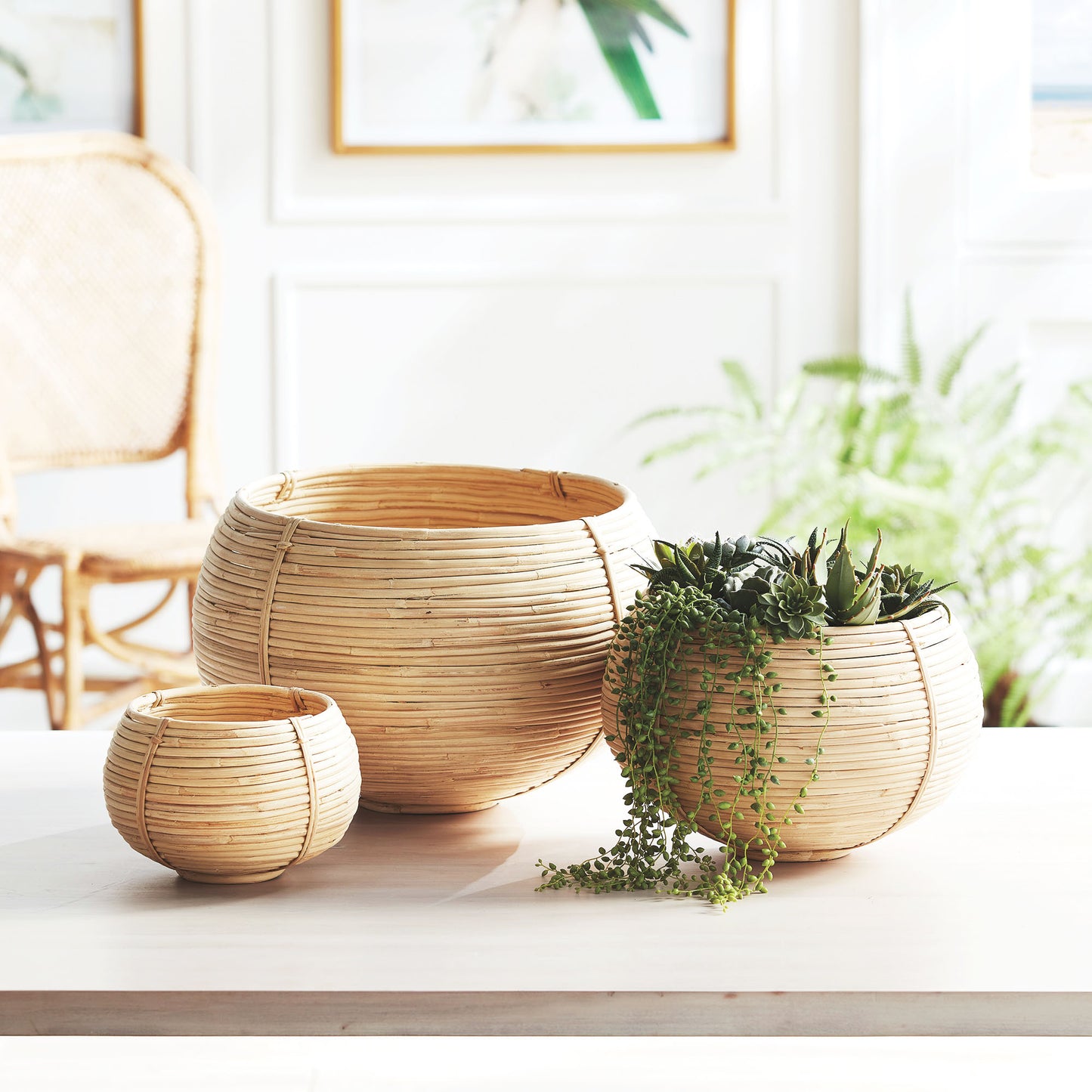 Natural rattan plant baskets (set of 3) - stylish home accent (Image4).