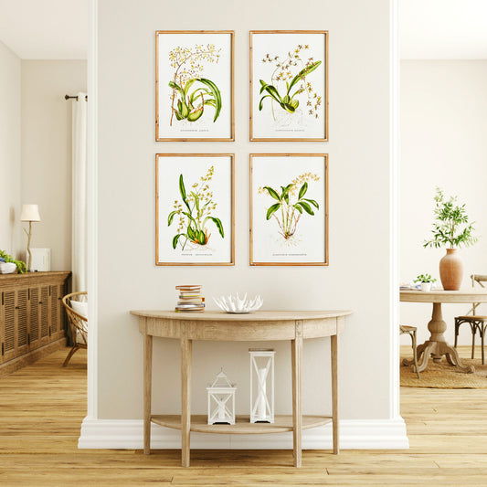 Orchids gallery wall art set stylized in living room, above console table.