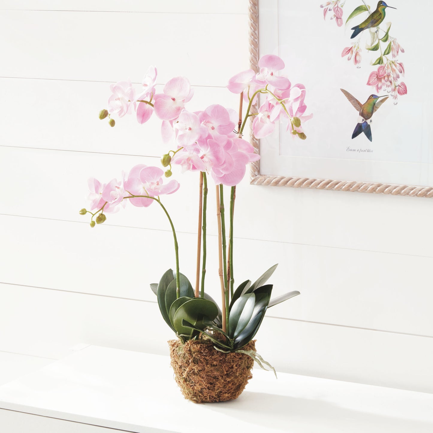 Pink faux phalaenopsis orchid 30 inch - stylish home accent (Image5).