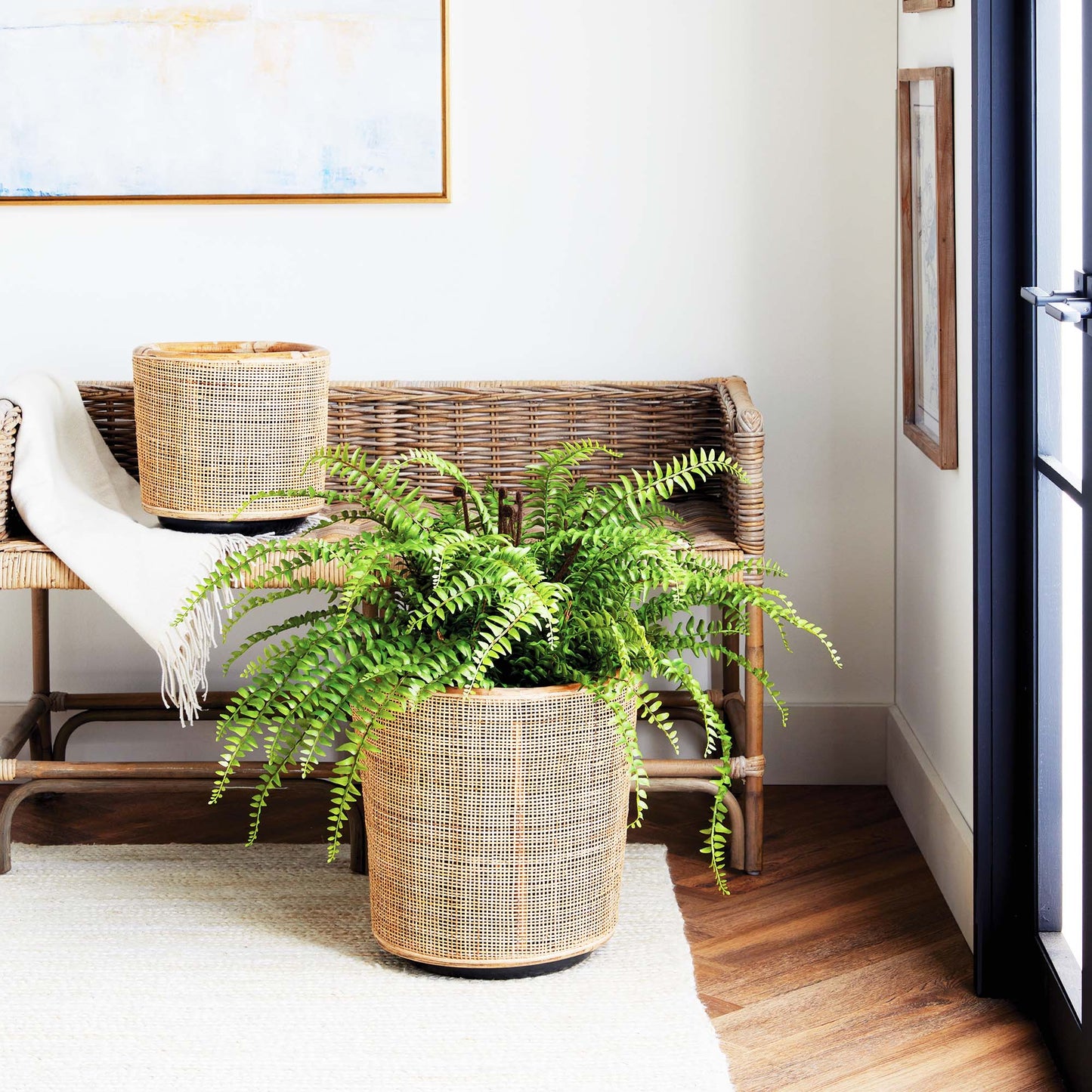 Round rattan planters (set of 2) - stylish home accent (Image7).