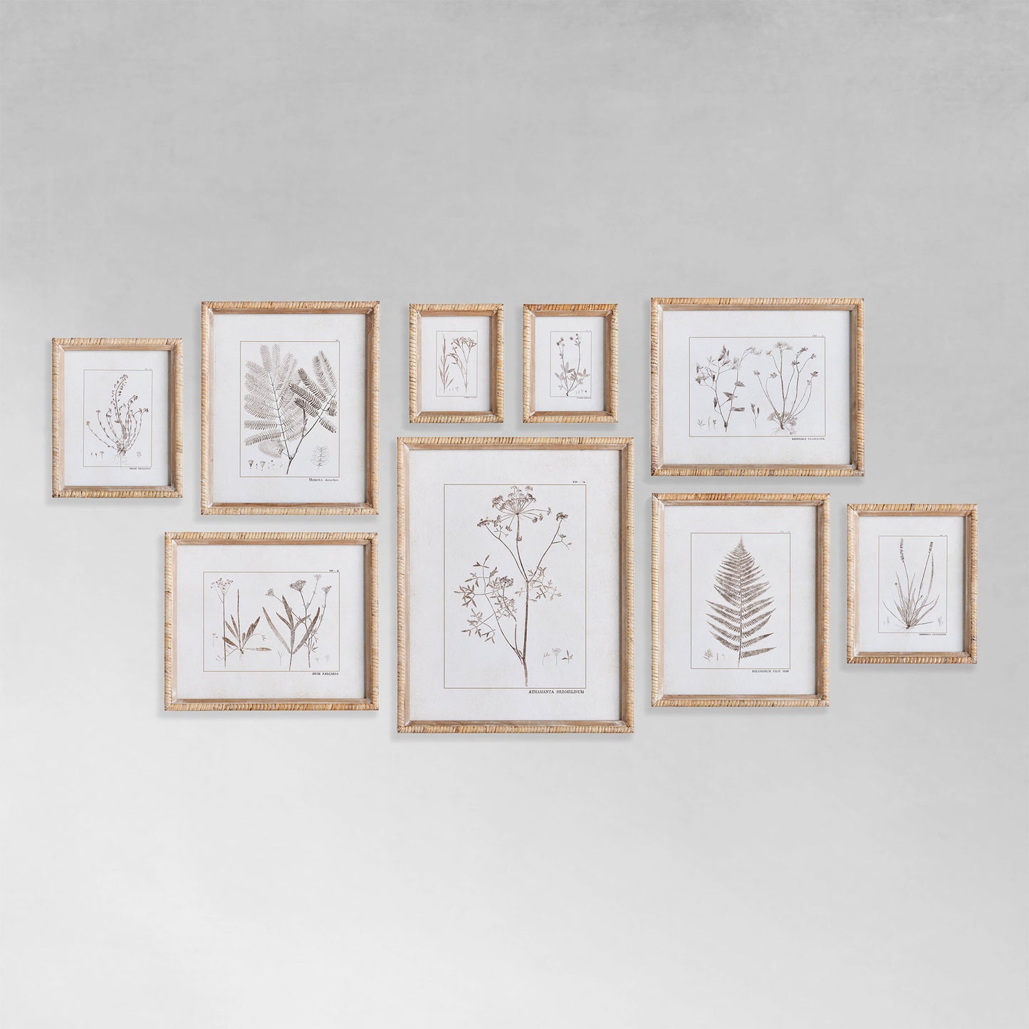 Sepia botanical gallery wall art set on gray background.