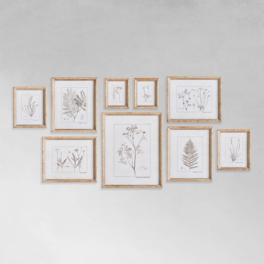 Sepia botanical gallery wall art set on gray background.
