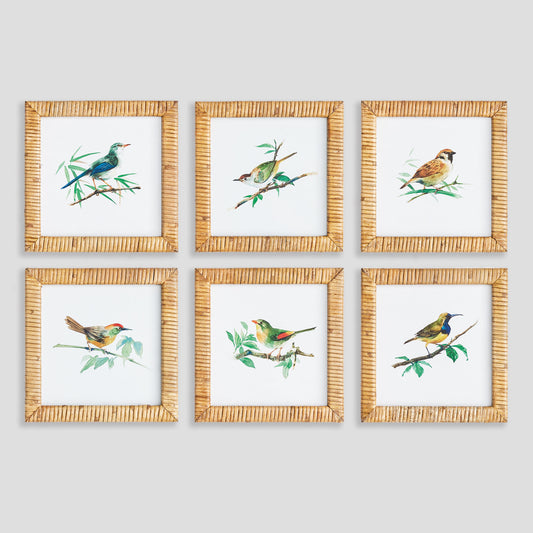Sonbirds gallery wall art set on gray wall.