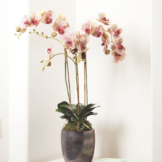 Speckled pink faux phalaenopsis orchid 32 inch - stylish home accent (Image2).