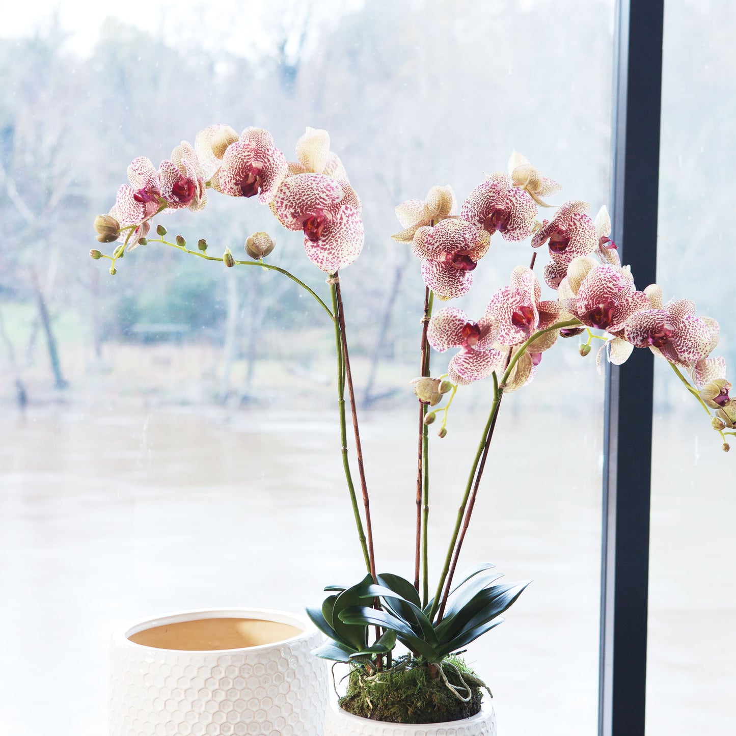 Speckled pink faux phalaenopsis orchid 32 inch - stylish home accent (Image3).