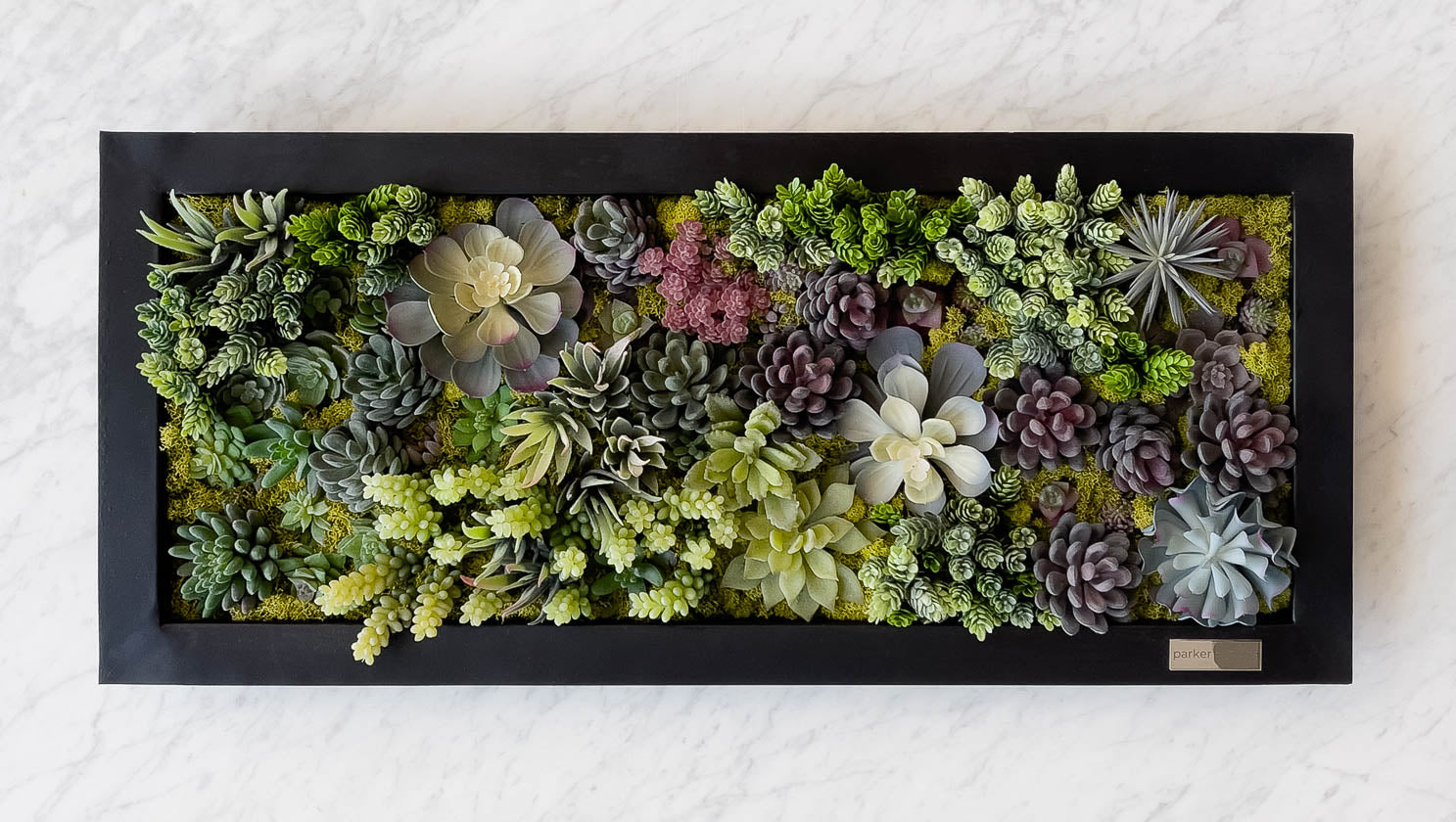 Succulent arrangement in decorative centerpiece tray.