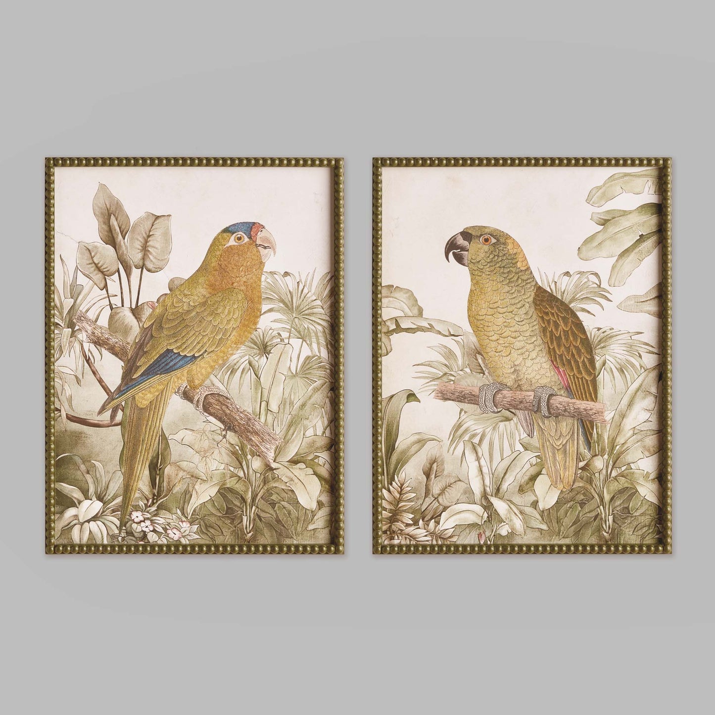 Tropical parrot framed prints (set of 2) - stylish home accent (Image5).