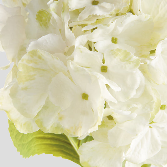 White faux hydrangea stems (set of 4) - stylish home accent (Image2).