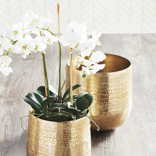 White faux phalaenopsis orchid mini garden drop-in 16 inch - stylish home accent (Image3).