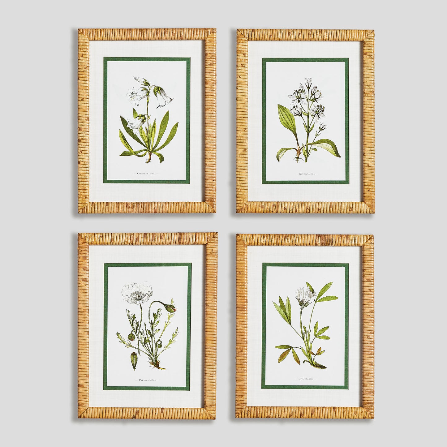 White floral study framed prints (set of 4) - stylish home accent (Image1).