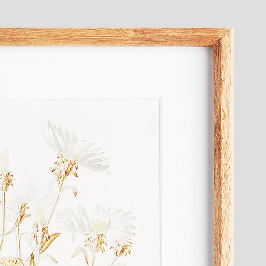 White flowers gallery wall art set closeup view of frame.