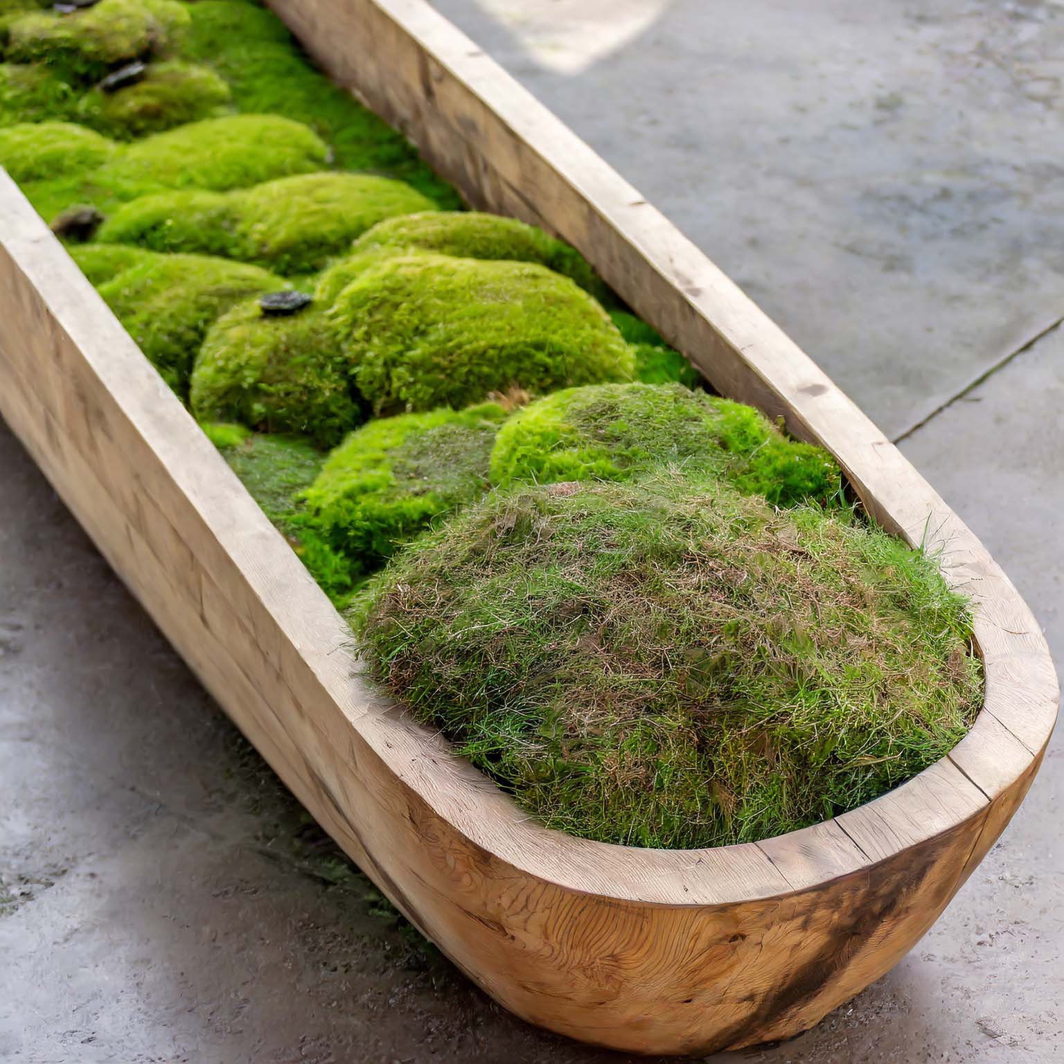 Wooden dough bowl filled with natural green moss mounds.